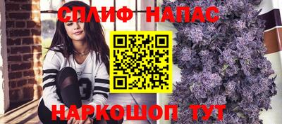 амф Новокубанск